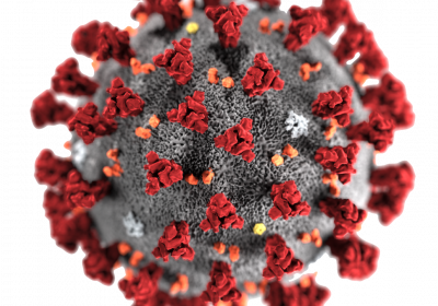 Action du CCAS pendant la pandémie