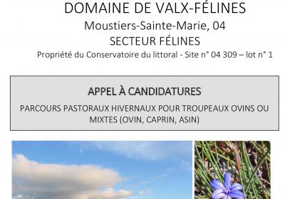 appel à candidatures