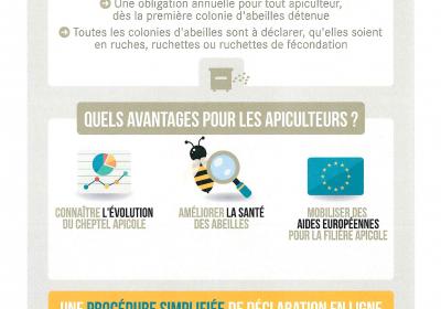 DÉCLAREZ VOS RUCHES