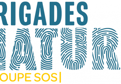 offre d'emploi secteur de riez