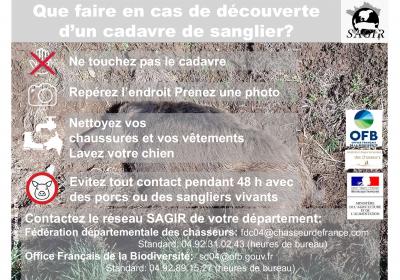 PESTE PORCINE AFRICAINE