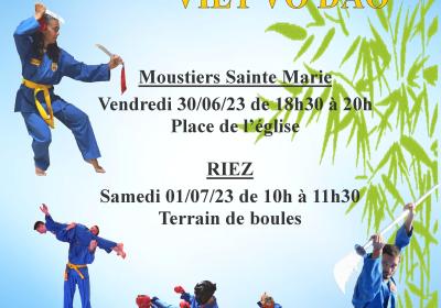 Démonstrations de Vovinam et Viet Vo Dao le 01 juillet à 10h