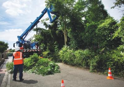 Elagage obligatoire pour les propriétaires