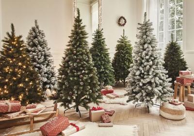 DLVAgglo récupère vos sapins du 2 janvier au 3 février