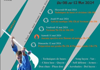 Stage Vovinam Viet Vo Dao du 08 au 12 mai 2024