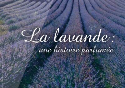 Conférence sur l'histoire de la culture de la lavande le 02 février