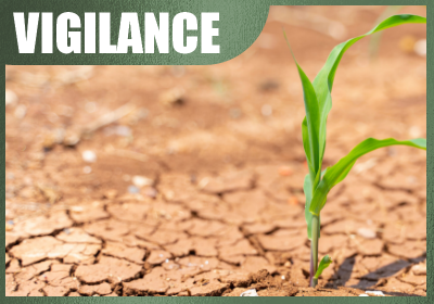 vigilance sècheresse 2026 département 04 alpes de haute provence