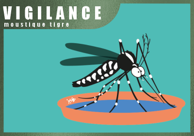 La prolifération du moustique tigre vigilance