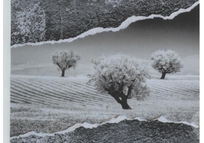 Exposition de photos - Itinérance_Riez - Exposition de photos - Itinérance_Riez