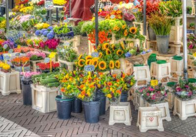 Foire de Printemps - Foire de Printemps
