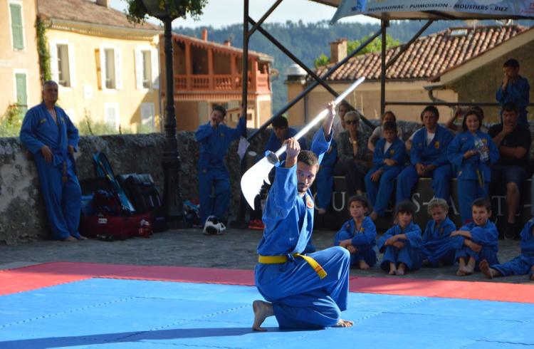 Vovinam Budo 04 - 