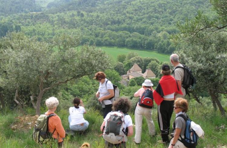 Sur le bord du plateau - 