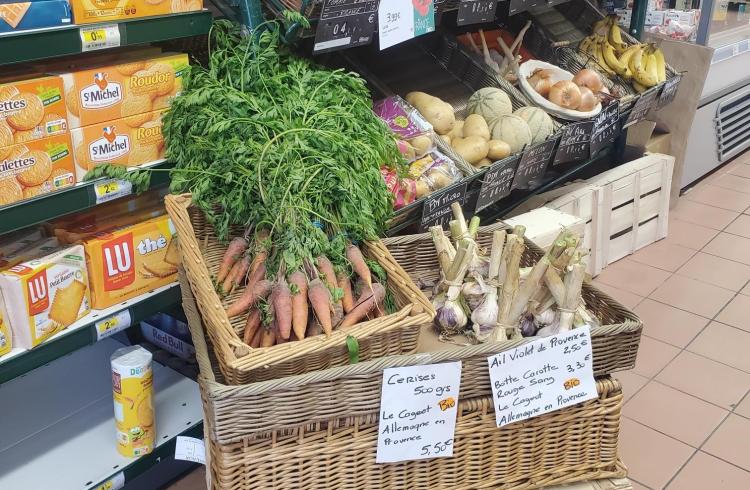 Fruits et légumes bio - 