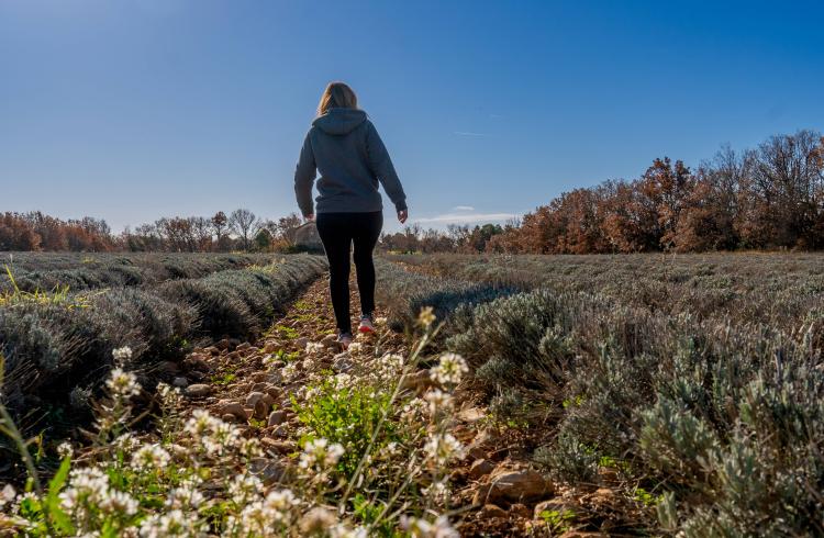 Itinéraire pédestre "Le plateau des Millarettes"_Riez - Champs