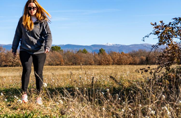 Itinéraire pédestre "Le plateau des Millarettes"_Riez - Vue