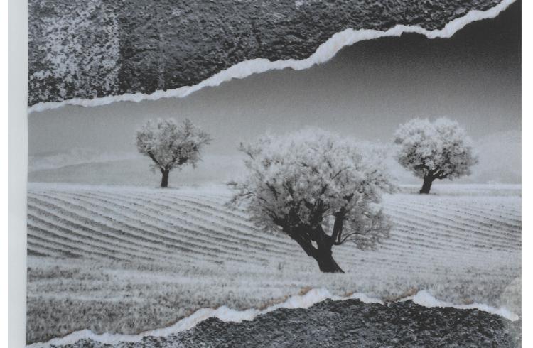 Exposition de photos - Itinérance_Riez - Exposition de photos - Itinérance_Riez