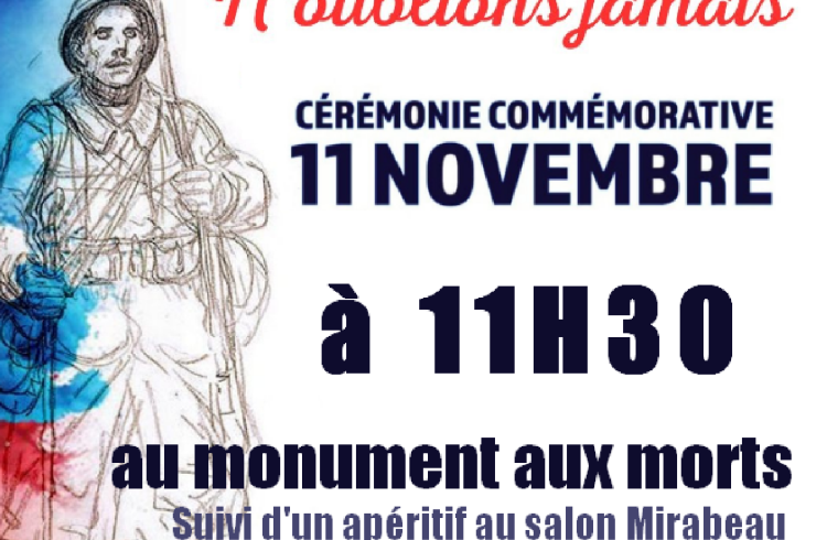 commémoration 11 novembre - commémoration 11 novembre