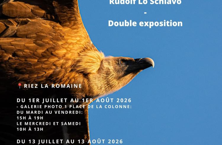 Regarde Verdon