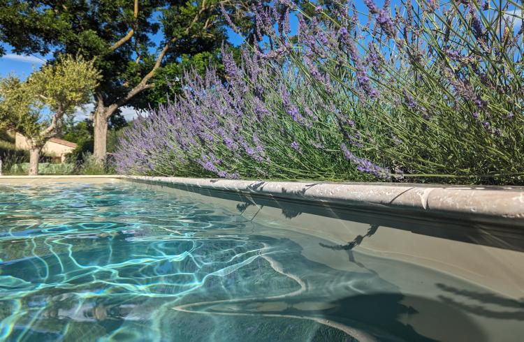 Piscine - 