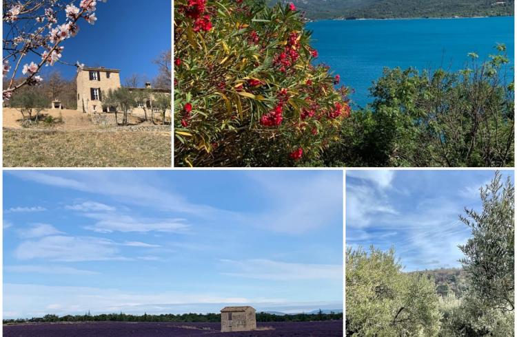 L’Olivade -  L’Olivade -